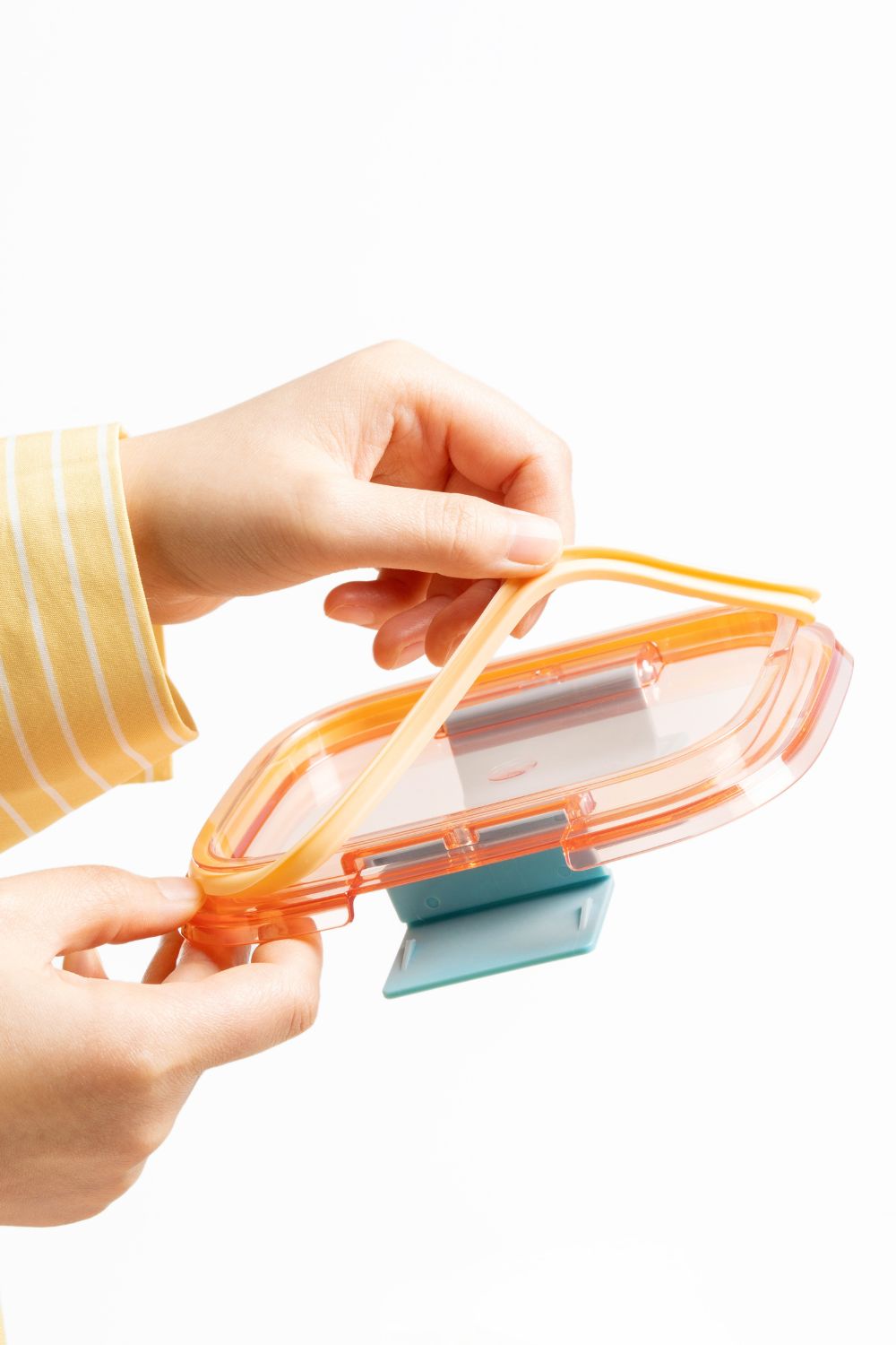 Bento Duo clear lid detail